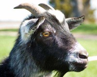 /album/senior-pictures/a-7352-jpg/